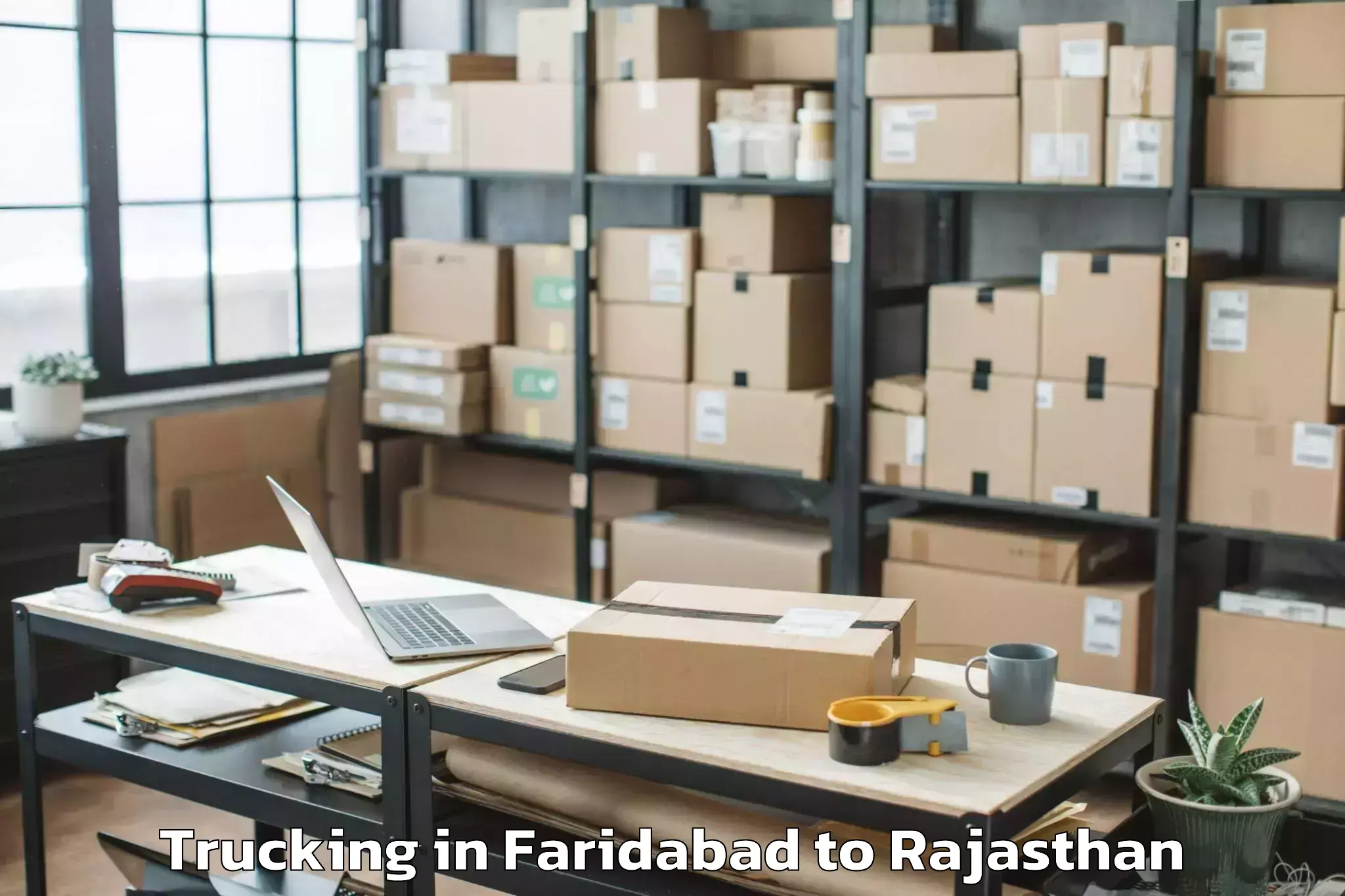 Professional Faridabad to Karauli Trucking